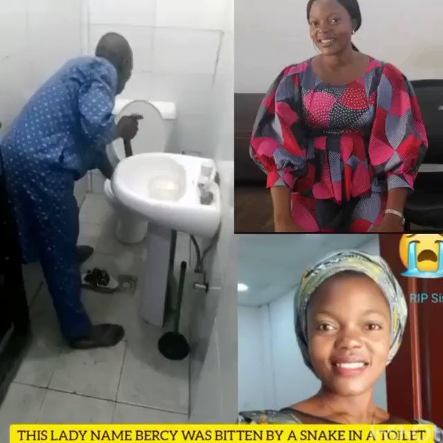 Lady dies after been bitten by snake in toilet (video)